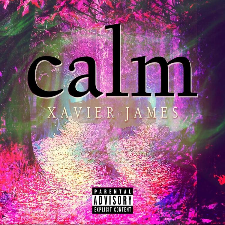 Xavier James's avatar image