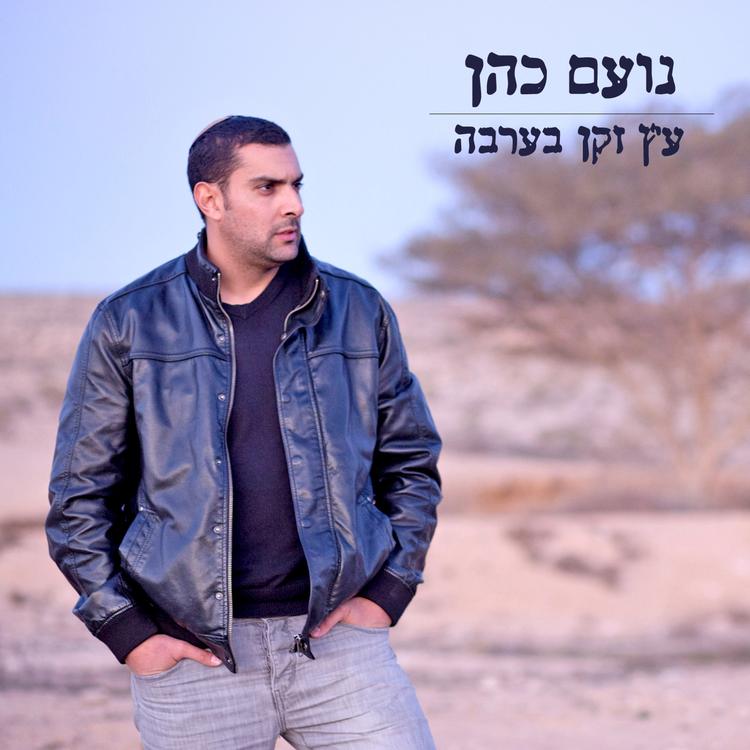 Noam Cohen's avatar image