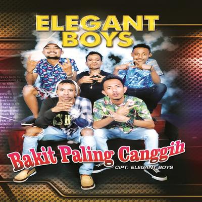 Elegant Boys's cover