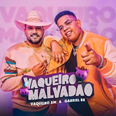 Vaqueiro Malvadão By Vaqueiro SM, Gabriel BK's cover