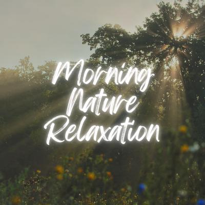 Morning Nature Relaxation's cover