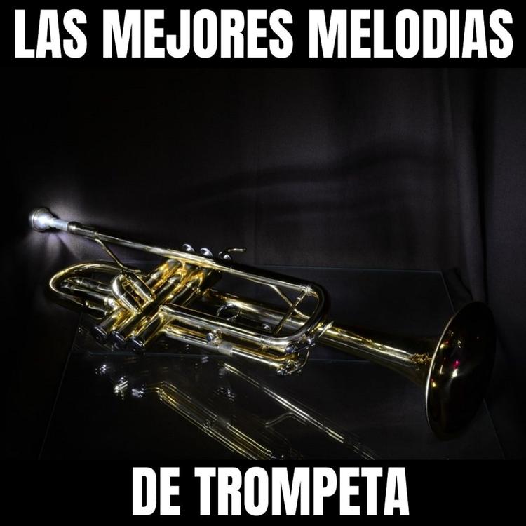 Las Mejores Melodias De Trompeta's avatar image