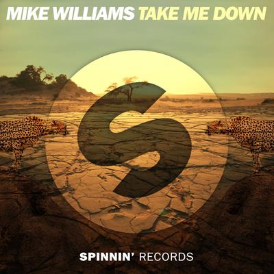 Take Me Down By Mike Williams's cover