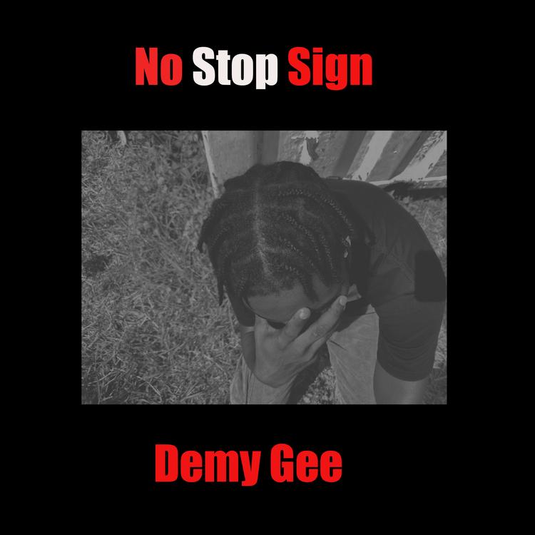 Demy Gee's avatar image