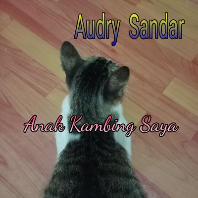 Audry Sandar's cover