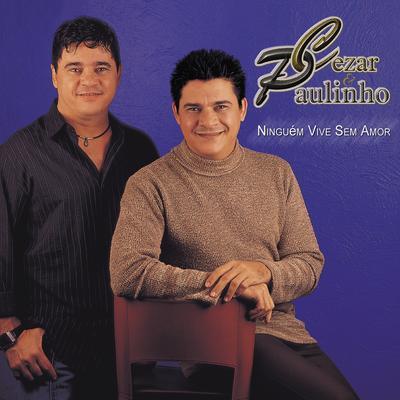 Nas asas de um beija-flor By Cezar & Paulinho's cover