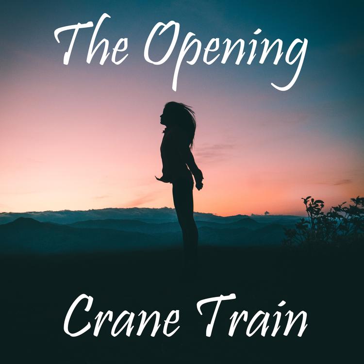 Crane Train's avatar image