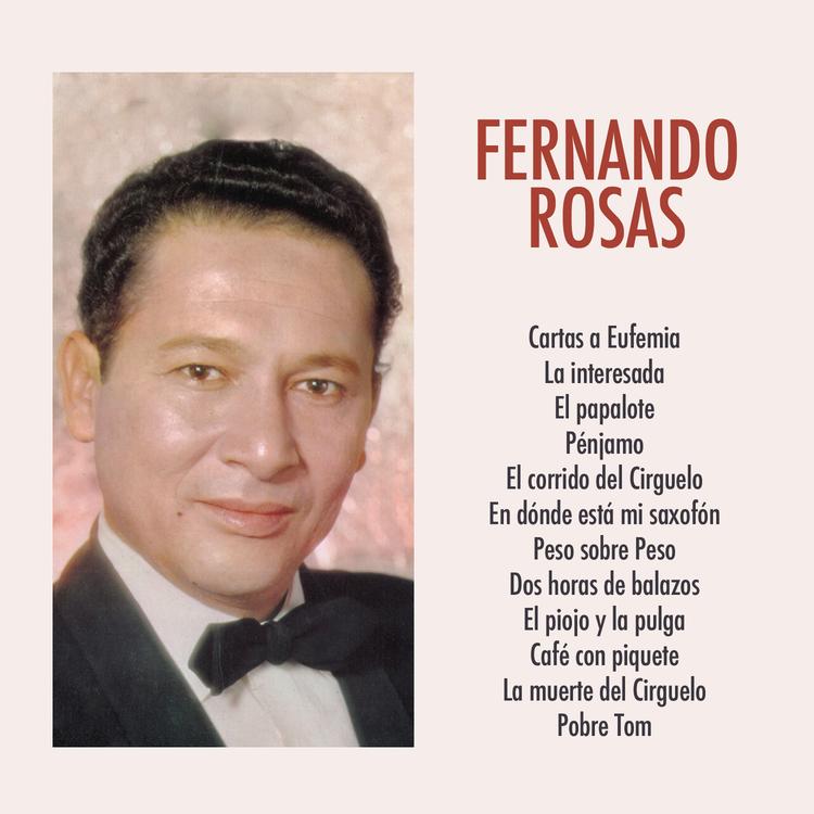 Fernando Rosas's avatar image