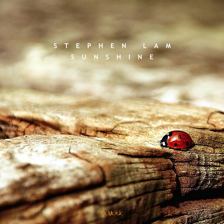 Stephen Lam's avatar image