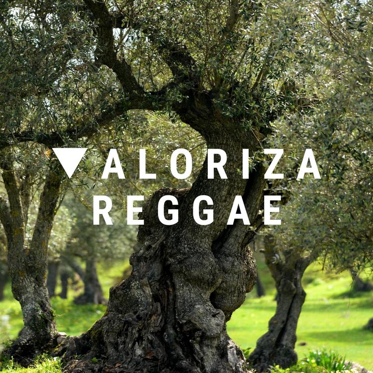 Valoriza Reggae's avatar image