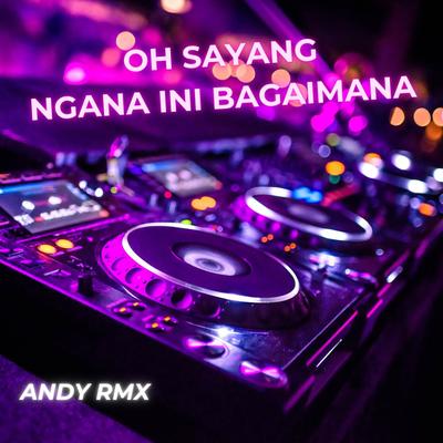 Andy Rmx's cover