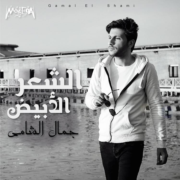 Gamal El Shami's avatar image