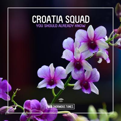 You Should Already Know By Croatia Squad's cover