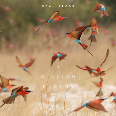 A Million Dreams By Noah Jacob's cover