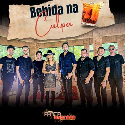 Bebida Na Culpa's cover