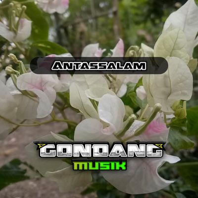 Antassalam (Remix)'s cover