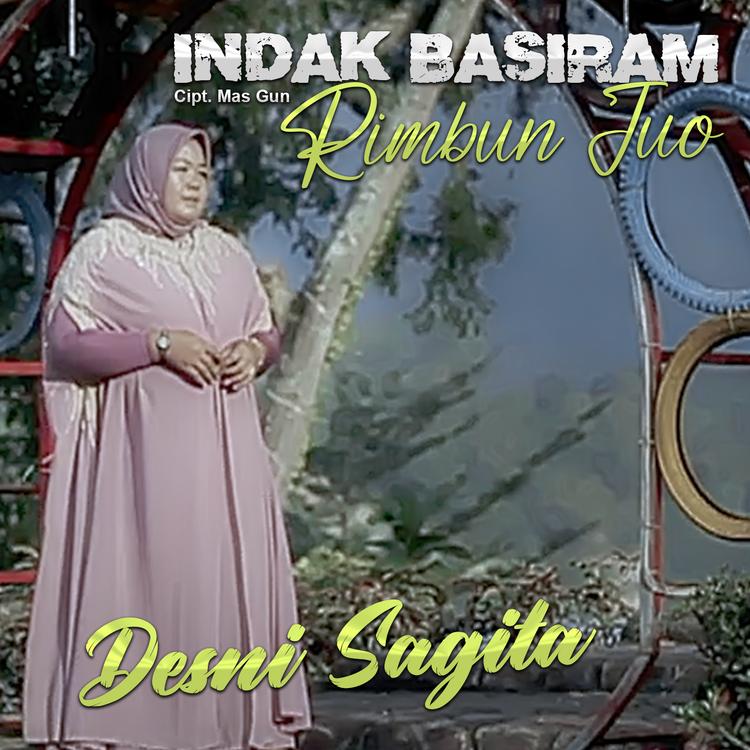 Desni Sagita's avatar image