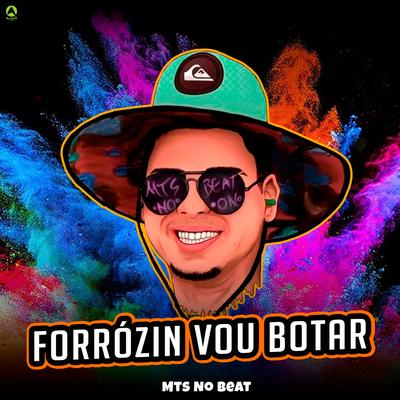 Forrózin Vou Botar By MTS No Beat's cover