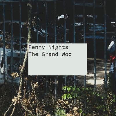 Penny Nights's cover