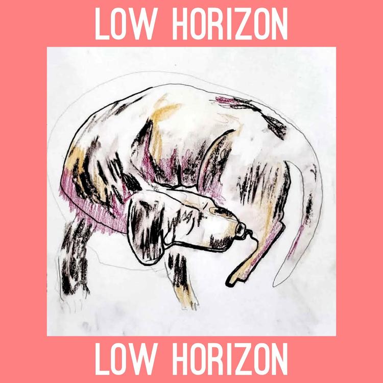 Low Horizon's avatar image