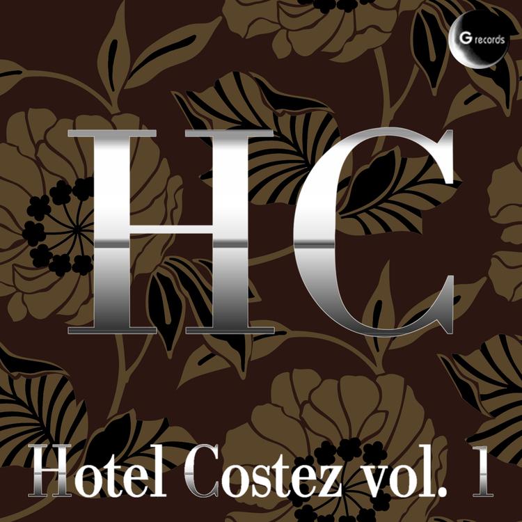 Hotel Costez's avatar image