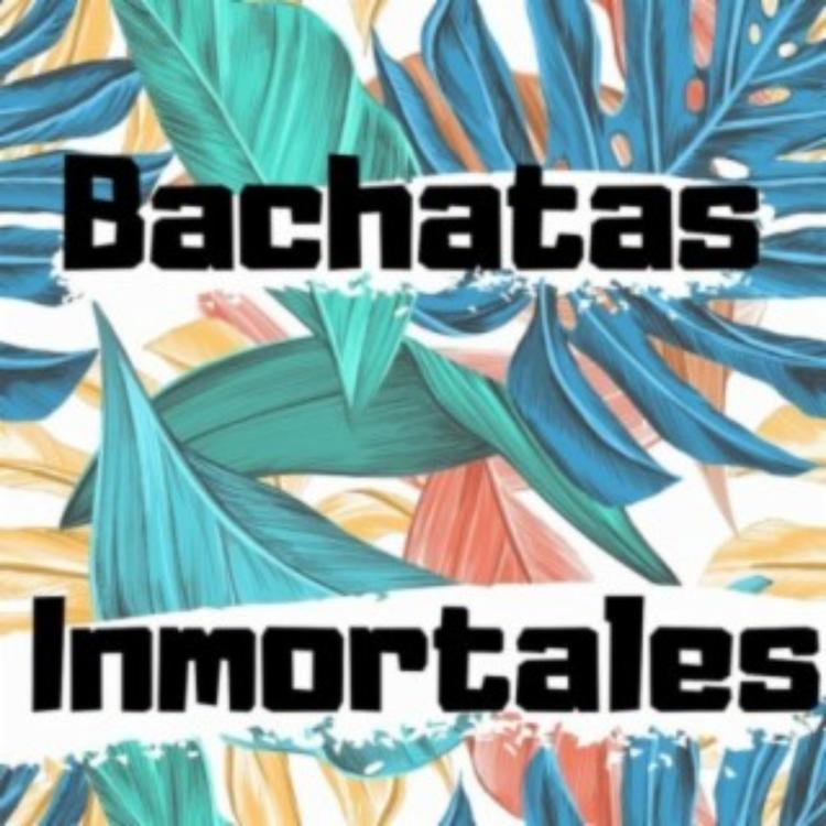 Raul Bachatas's avatar image