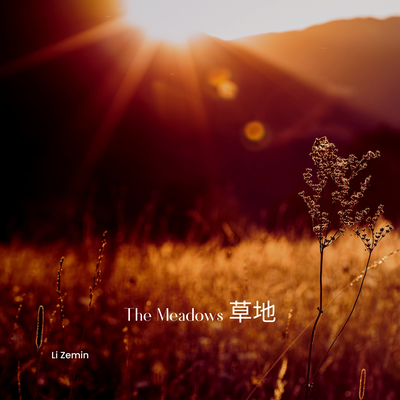 The Meadows 草地's cover