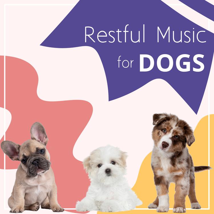 Instrumental Lullabies for Puppies's avatar image