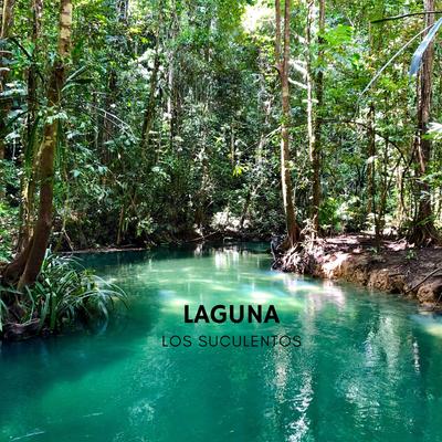 Laguna By Los Suculentos's cover