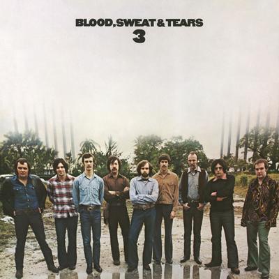 Blood, Sweat And Tears 3's cover