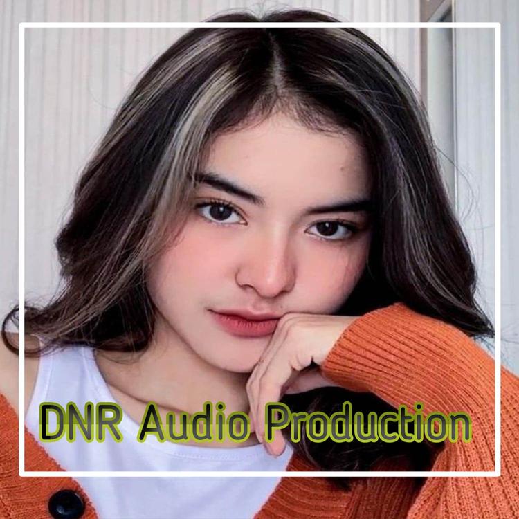 DNR Audio Production's avatar image