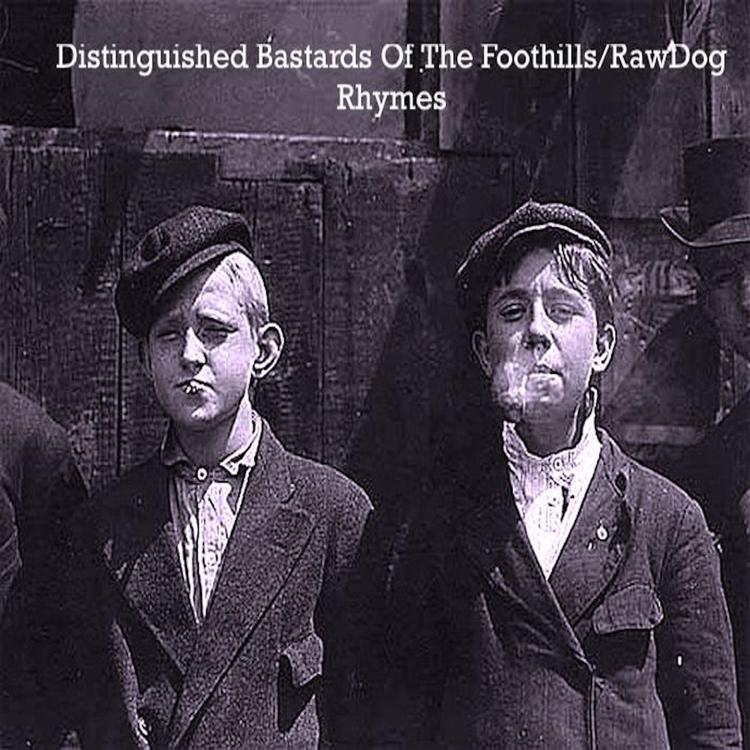 Distinguished Bastards of the Foothills's avatar image