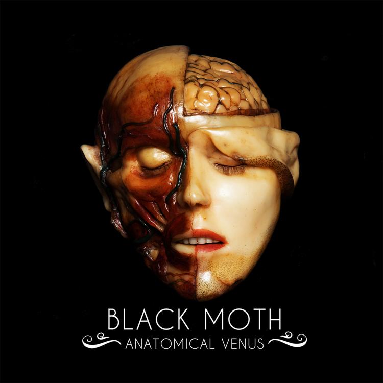 Black Moth's avatar image