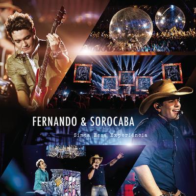 O Que Cê Vai Fazer (Ao Vivo) By Fernando & Sorocaba's cover
