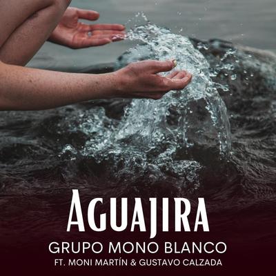 Grupo Mono Blanco's cover