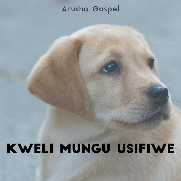 Arusha Gospel's avatar image