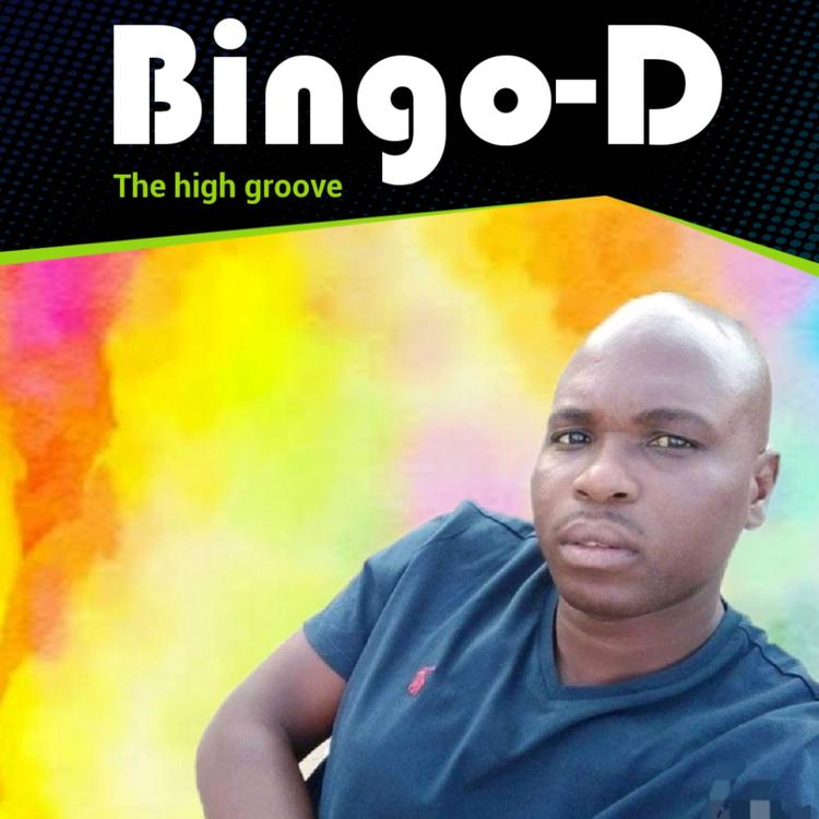 Bingo-D's avatar image