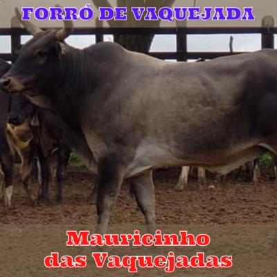 Forró de Vaquejada By Mauricinho das Vaquejadas's cover