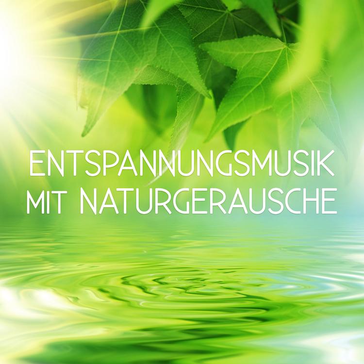 Wellness Entspannung Akademie's avatar image