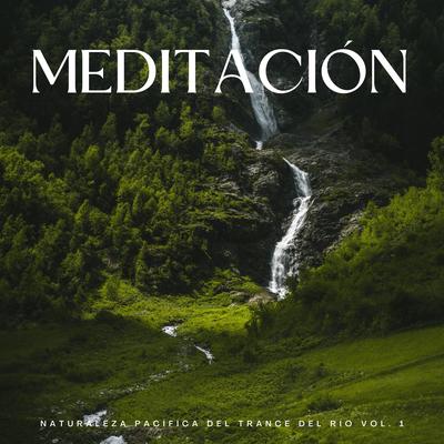 Dama Deslizante By Sonido Submarino, Yoga Meditación, Musica Para Meditacion Profunda's cover