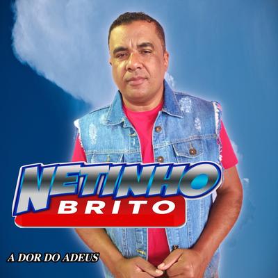 Ex Amante By Netinho Brito's cover