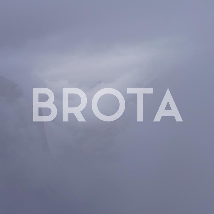 BROTA's avatar image