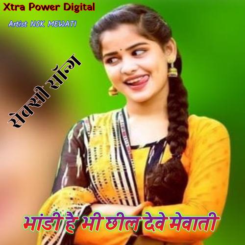 Aslam Billi Ki Story Official TikTok Music album by NSK MEWATI