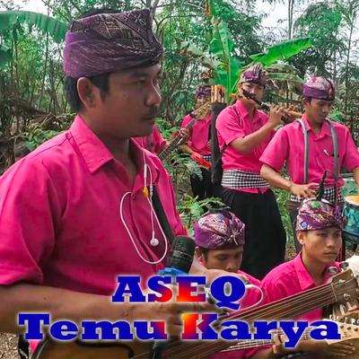 Aseq Temu Karya's cover