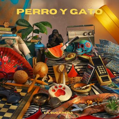 Perro y Gato's cover