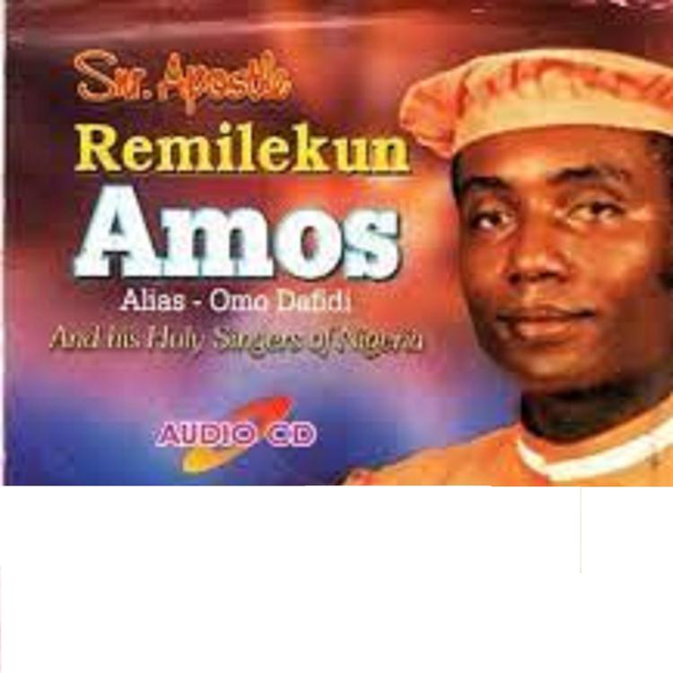 Lekan Remilekun Amos's avatar image