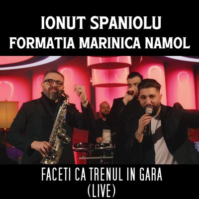 Ionut Spaniolu's cover