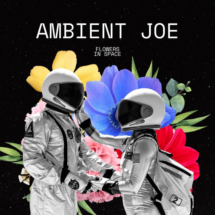 Ambient Joe's avatar image