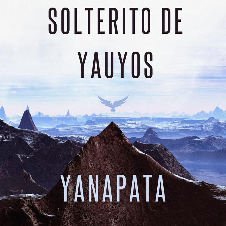 solterito de yauyos's avatar image