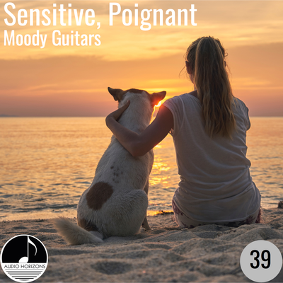 Sensitive, Poignant 39 Moody Guitars's cover